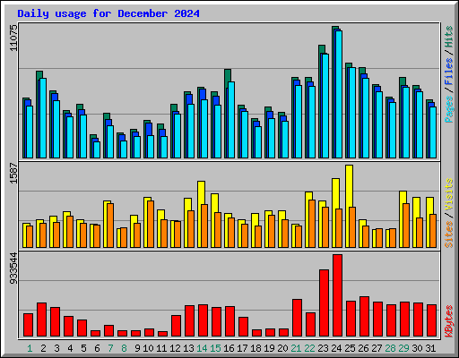 Daily usage for December 2024