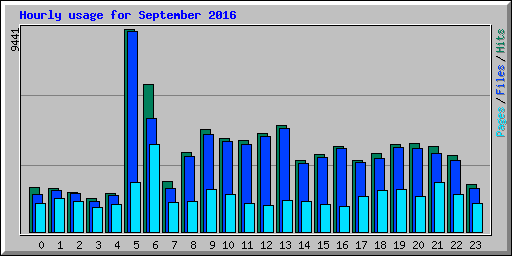 Hourly usage for September 2016