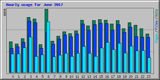 Hourly usage for June 2017