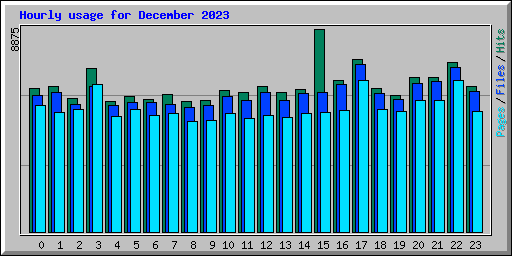 Hourly usage for December 2023