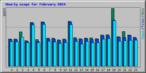Hourly usage for February 2024