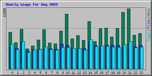 Hourly usage for May 2025