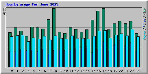 Hourly usage for June 2025
