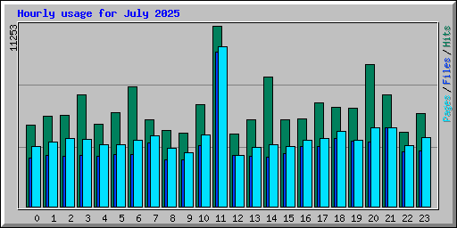 Hourly usage for July 2025