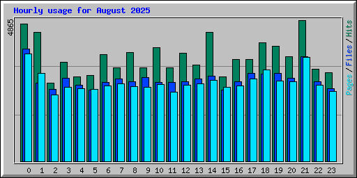 Hourly usage for August 2025