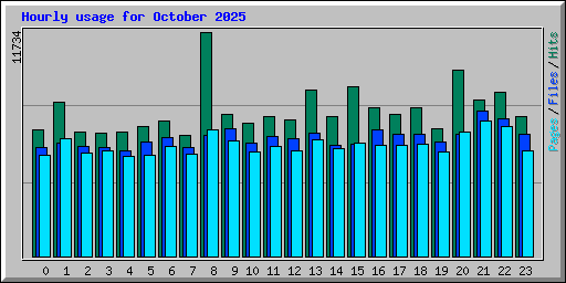 Hourly usage for October 2025