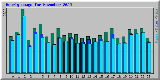 Hourly usage for November 2025